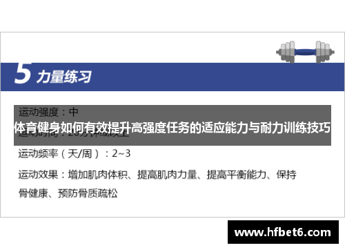 体育健身如何有效提升高强度任务的适应能力与耐力训练技巧